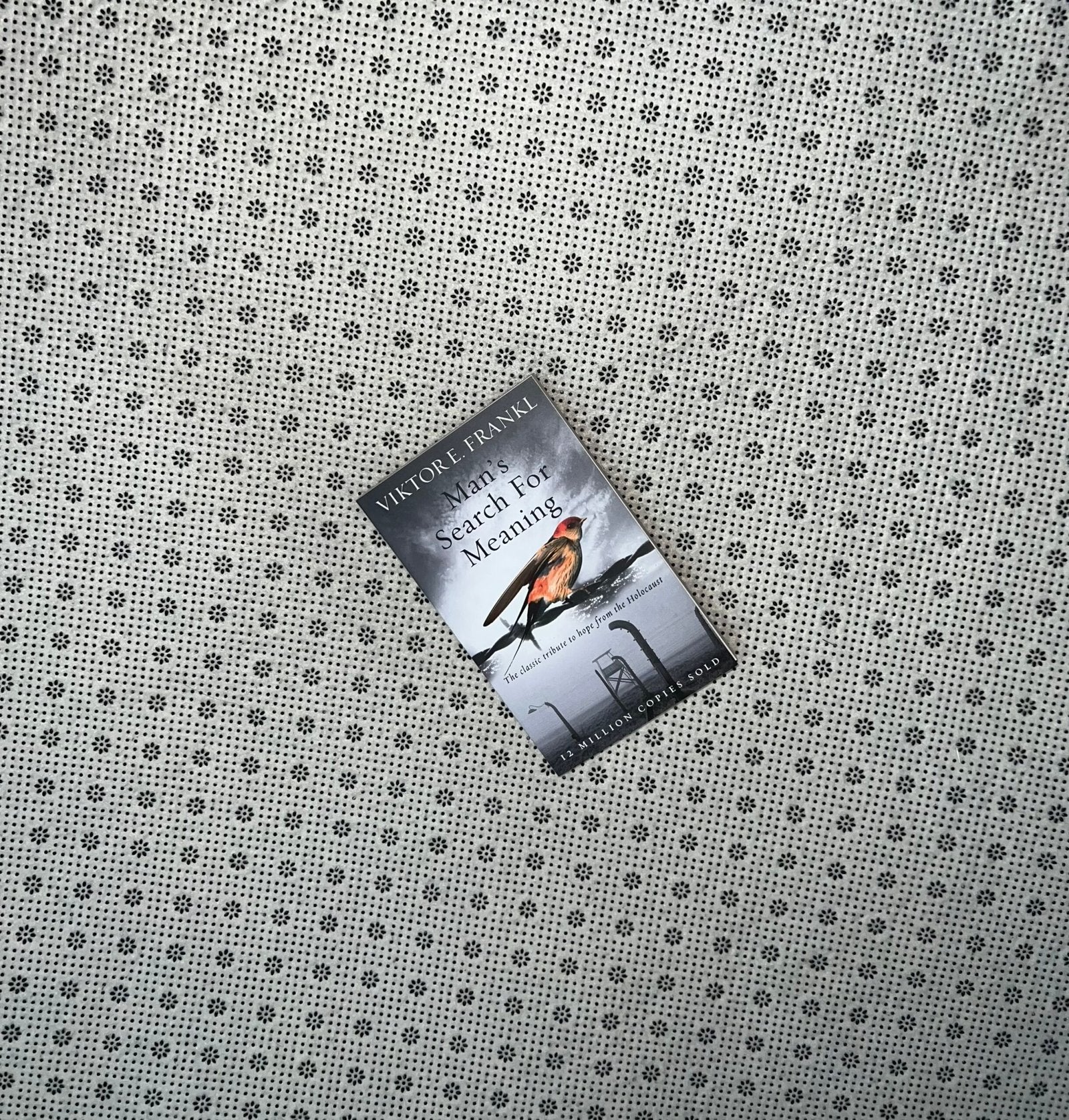 mans search for meaning by viktor e frankl