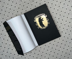 the luminaries luminaries series book 1 by susan dennard