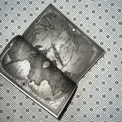 ruin and rising shadow and bone series book 3 by leigh bardugo