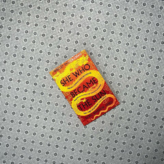 she who became the sun by shelley parker chan