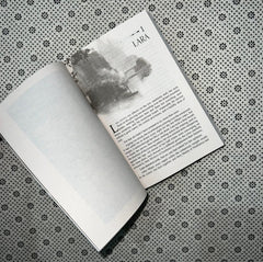 the bridge kingdom the bridge kingdom series book 1 by danielle l jensen