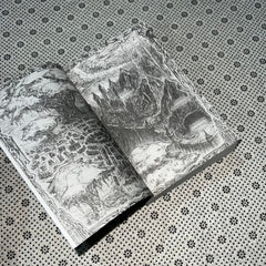 dance of thieves dance of thieves series book 1 by mary e pearson