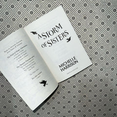 a storm of sisters a pinch of magic adventure series book 4 by michelle harrison