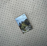 the tenant of wildfell hall by anne bronte