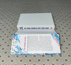 if you could see the sun by ann liang