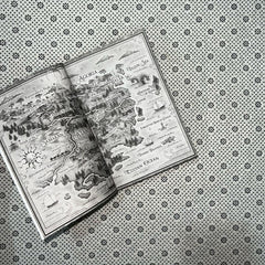 spin the dawn the blood of stars series book 1 by elizabeth lim