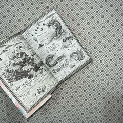 the dragons promise the six crimson cranes series book 2 by elizabeth lim