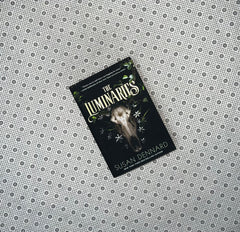 the luminaries luminaries series book 1 by susan dennard