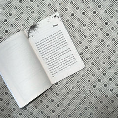 kill joy by holly jackson