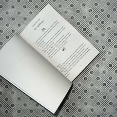 a sky beyond the storm an ember in the ashes series book 4 by sabaa tahir