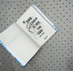 if you could see the sun by ann liang