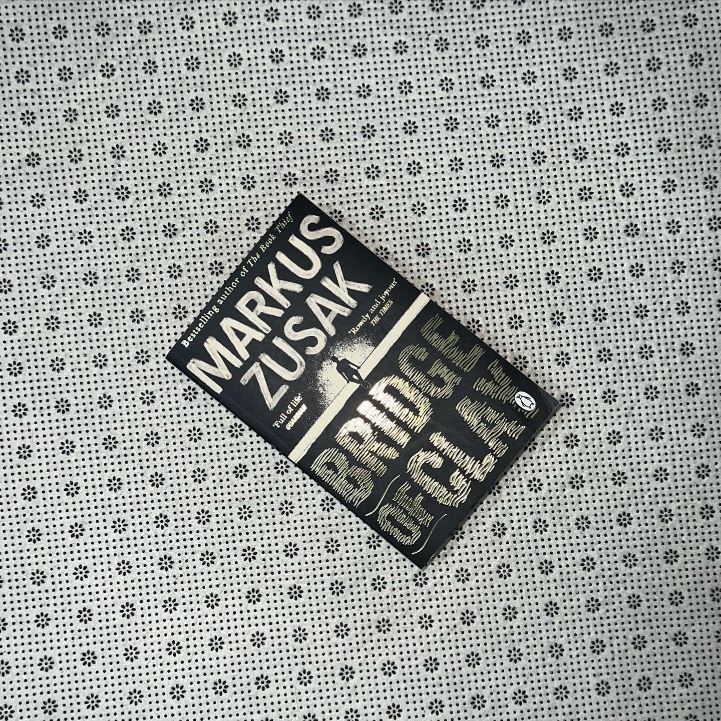 bridge of clay by markus zusak