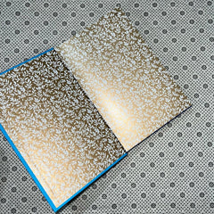 the song of achilles special anniversary edition by madeline miller