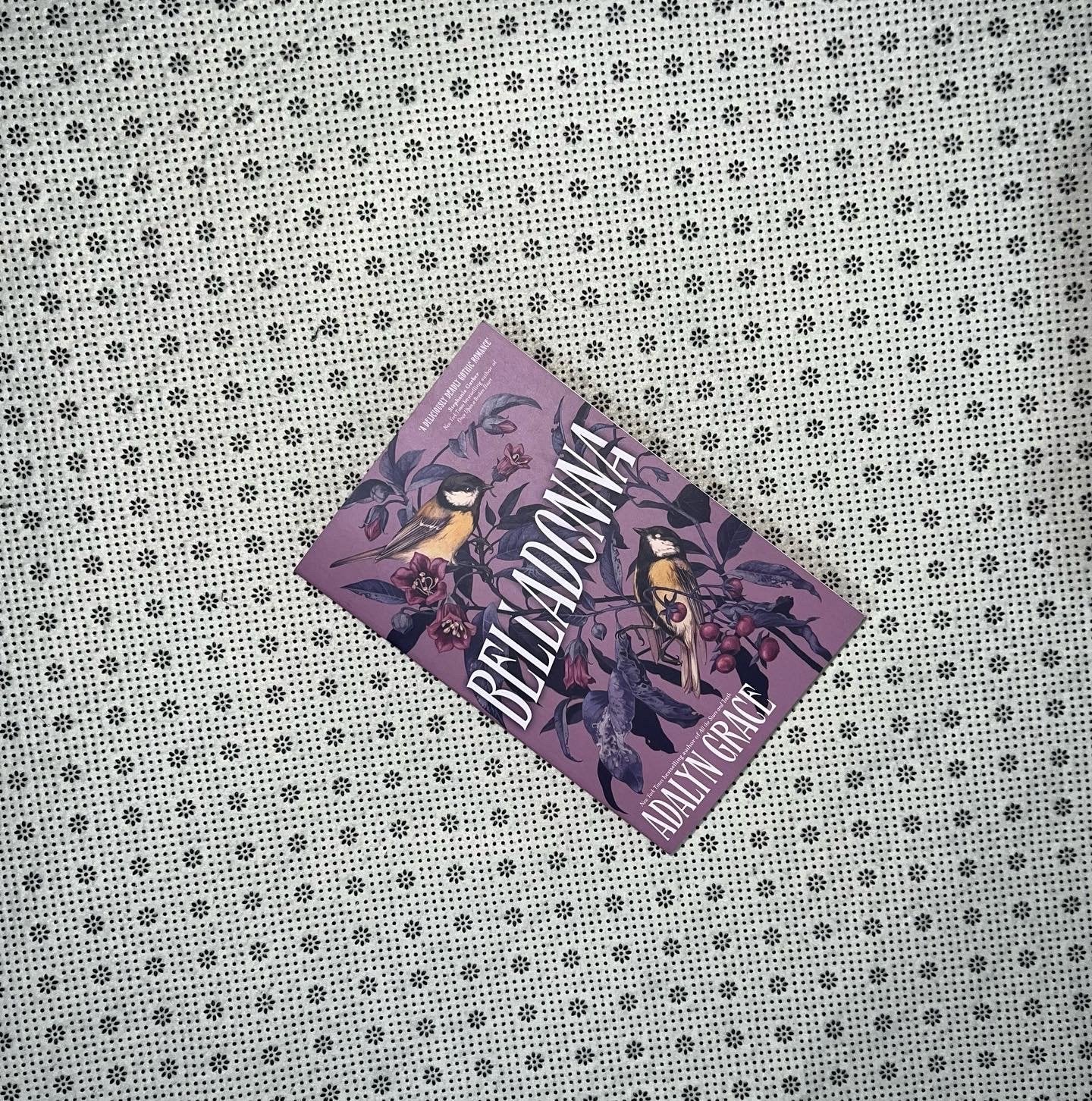 belladonna belladonna series book 1 by adalyn grace