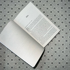 the forty rules of love by elif shafak