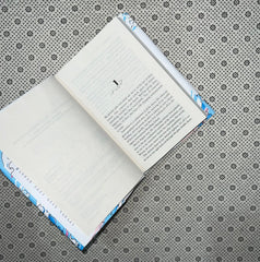 if you could see the sun by ann liang