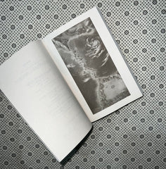 the bridge kingdom the bridge kingdom series book 1 by danielle l jensen