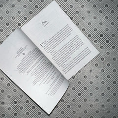 ricochet addicted series book 2 by krista ritchie