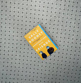 conversations with friends by sally rooney