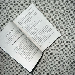 the do over by lynn painter