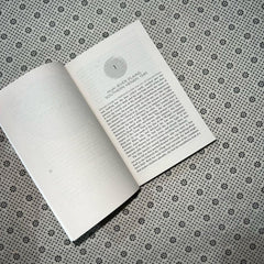 she who became the sun by shelley parker chan