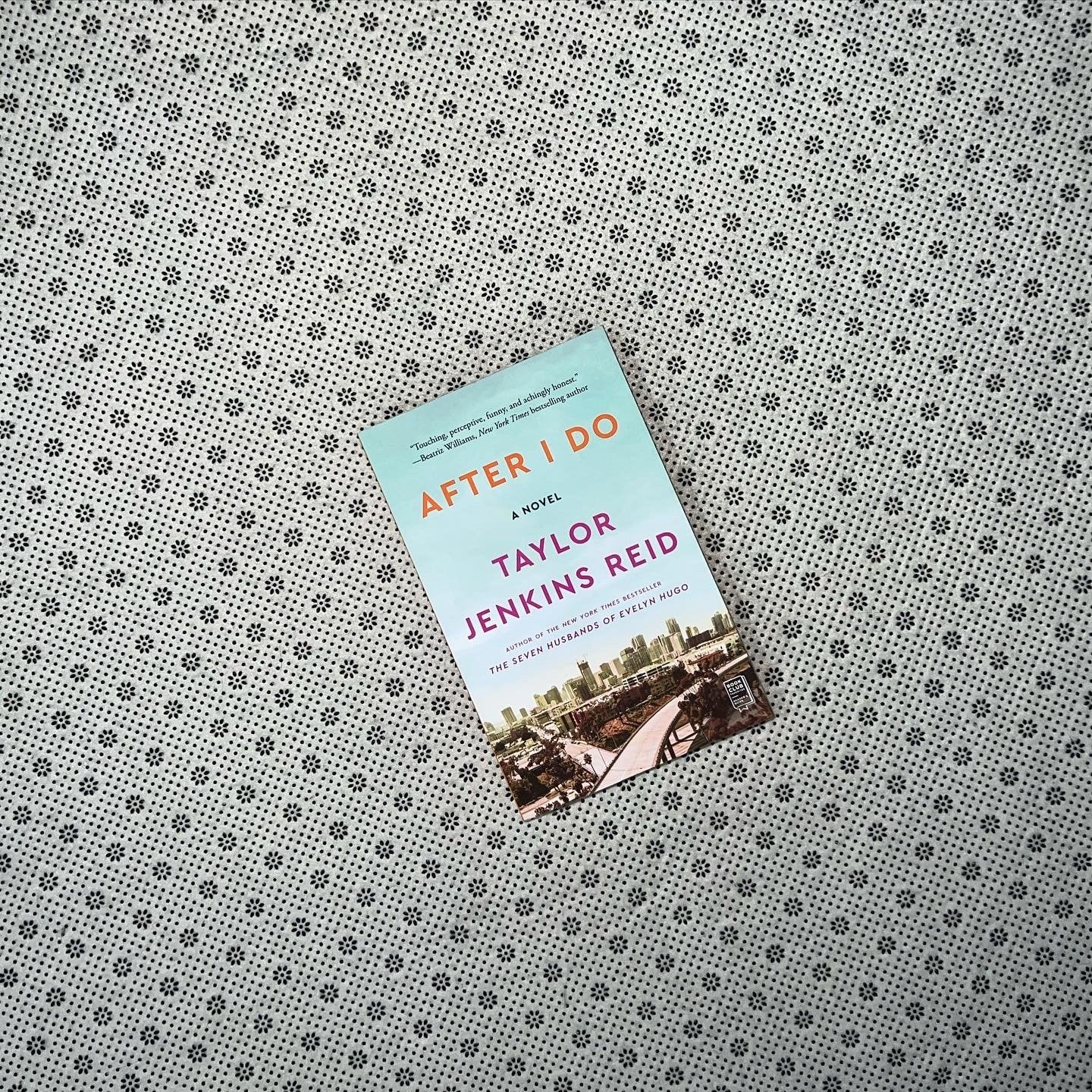 after i do by taylor jenkins reid