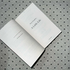 a little life by hanya yanagihara