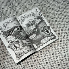 forging silver into stars by brigid kemmerer