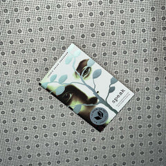 speak by laurie halse anderson