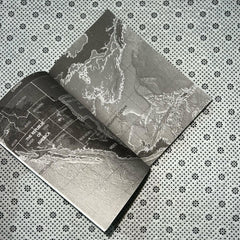 prodigy a legend series book 2 by marie lu