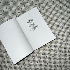 house of salt and sorrows by erin a craig