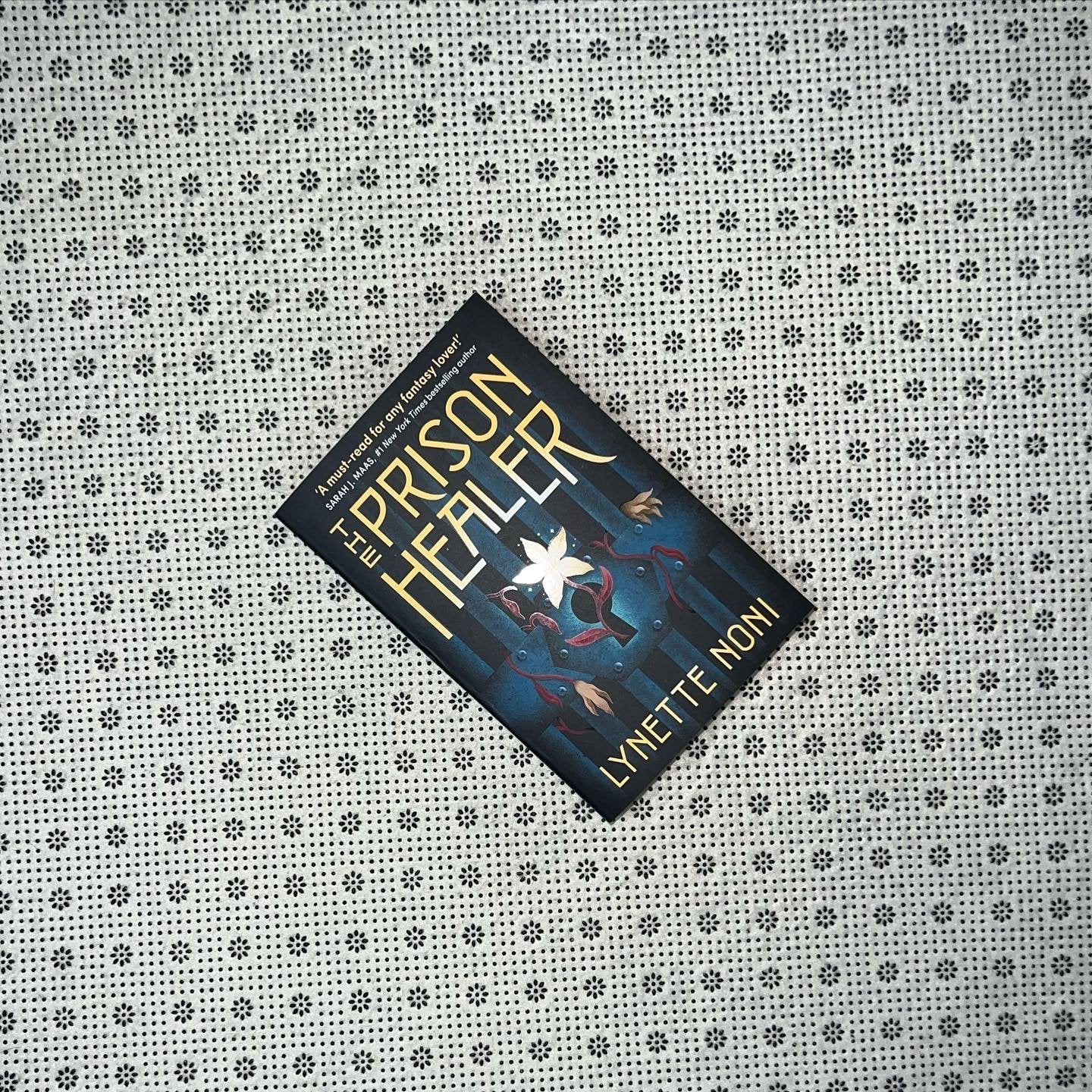 the prison healer by lynette noni