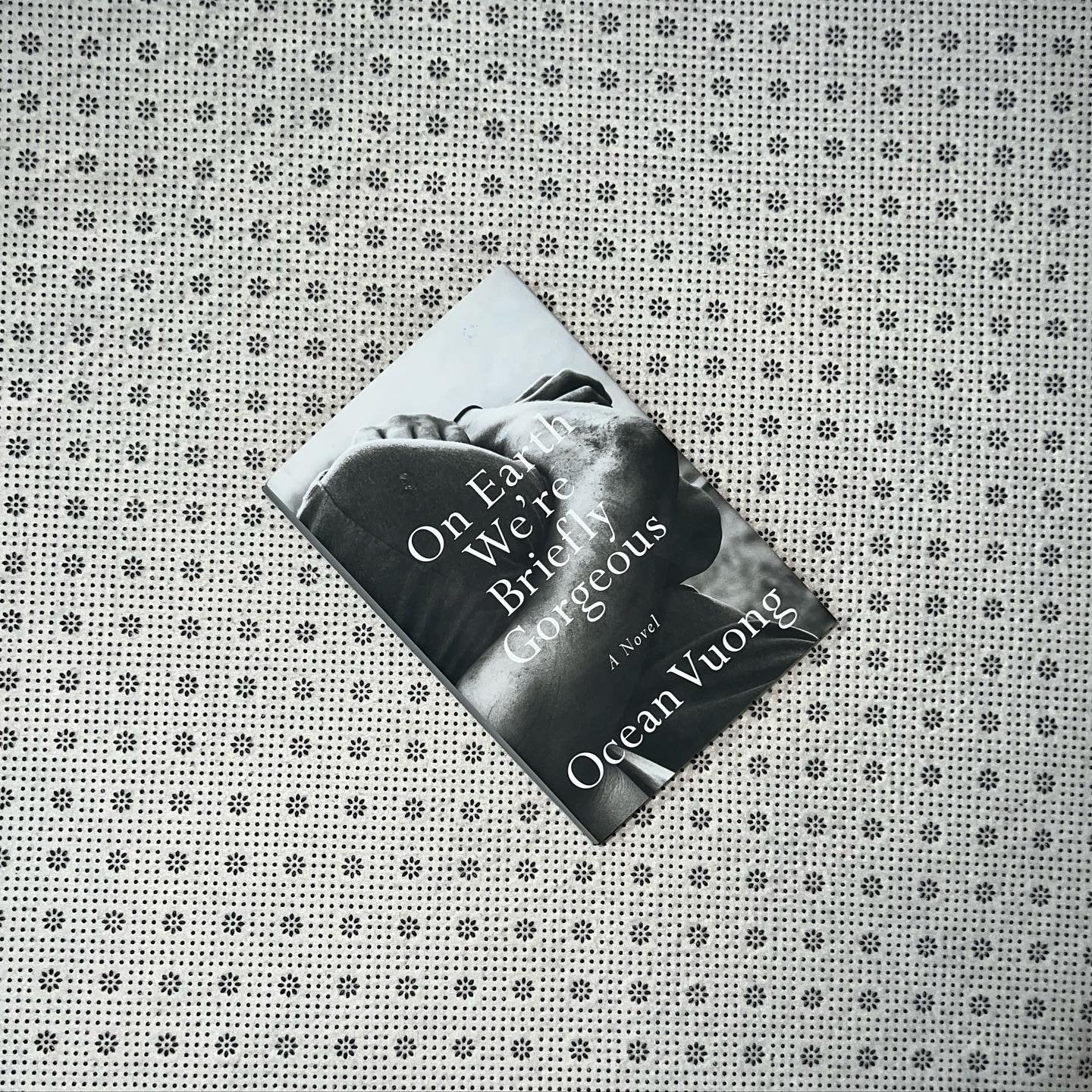 on earth were briefly gorgeous by ocean vuong