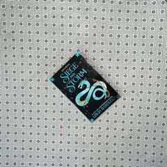 siege and storm shadow and bone series book 2 by leigh bardugo