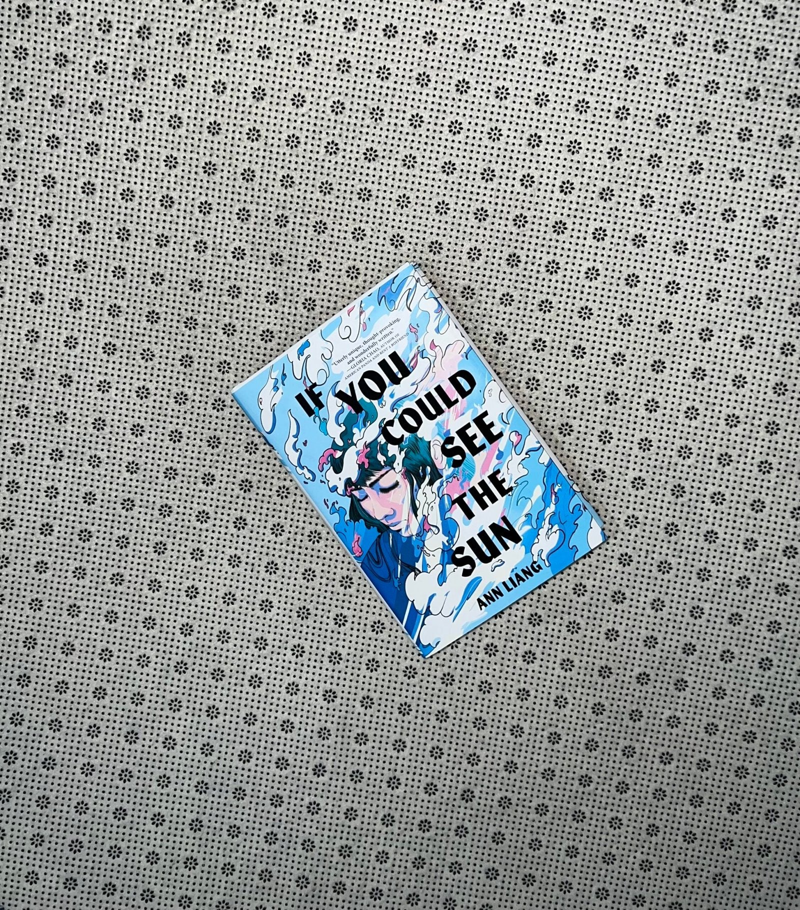 if you could see the sun by ann liang