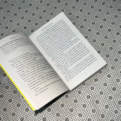 how do you like me now by holly bourne