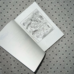 heart of the sun warrior the celestial kingdom series book 2 by sue lynn tan