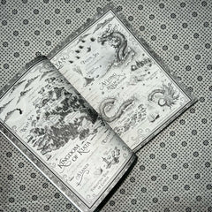 the dragon s promise the six crimson cranes series book 2 by elizabeth lim