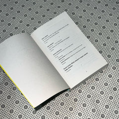 how do you like me now by holly bourne