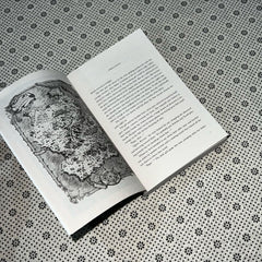 the prison healer by lynette noni