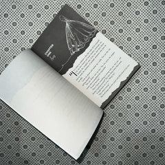 terms and conditions dreamland billionaires series book 2 by lauren asher