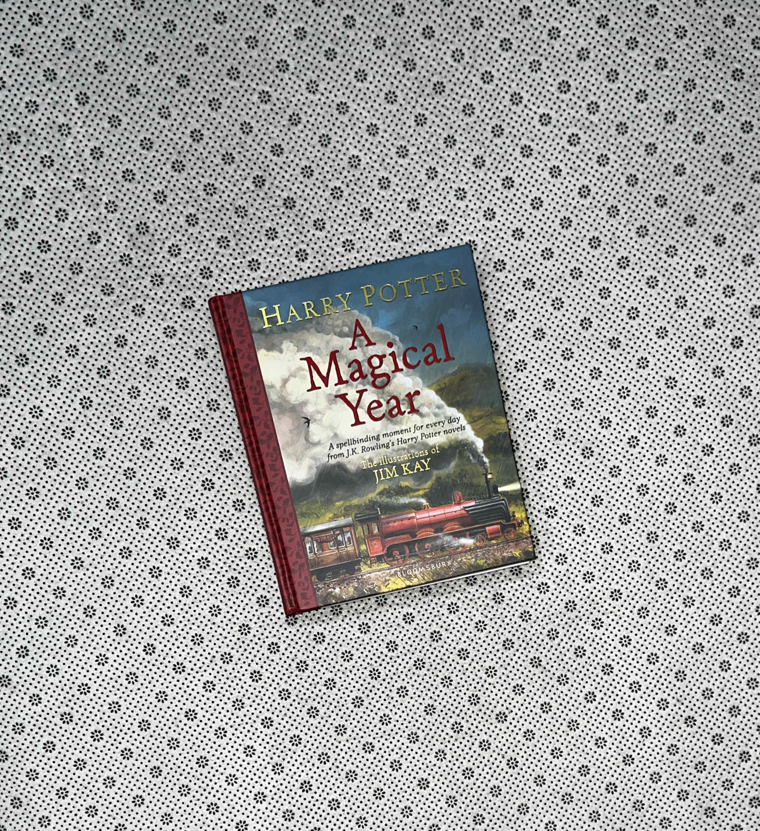 HARRY POTTER A MAGICAL YEAR: the Illustrations Of Jim Kay by J.k. Rowling