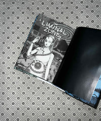 THE LIMINAL ZONE: (Volume 2) by Junji Ito