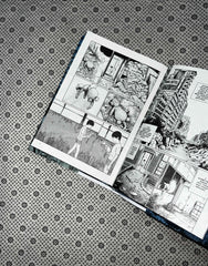 THE LIMINAL ZONE: (Volume 2) by Junji Ito