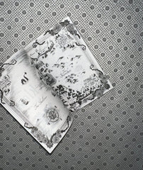 reckless the powerless series book 2 by lauren roberts