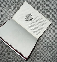 rule of wolves king of scars series book 2 by leigh bardugo