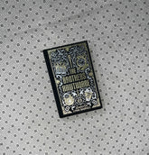 THE BROTHERS HAWTHORNE by Jennifer Lynn Barnes
