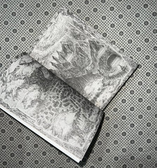 vow of thieves dance of thieves series book 2 by mary e pearson