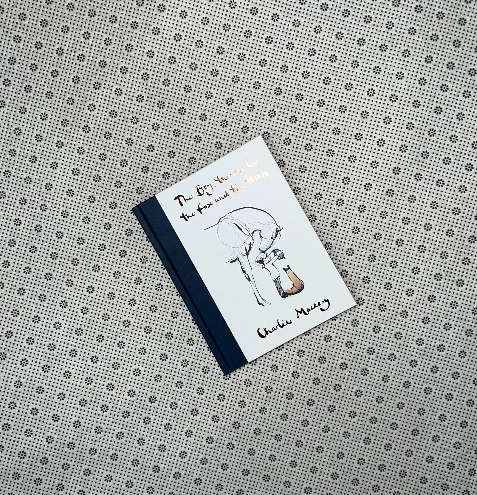 the boy the mole the fox and the horse by charlie mackesy