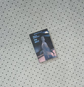 the idiot wordsworth classics by fyodor dostoyevsky 1